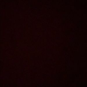 Meet your Posher, Ja’cori